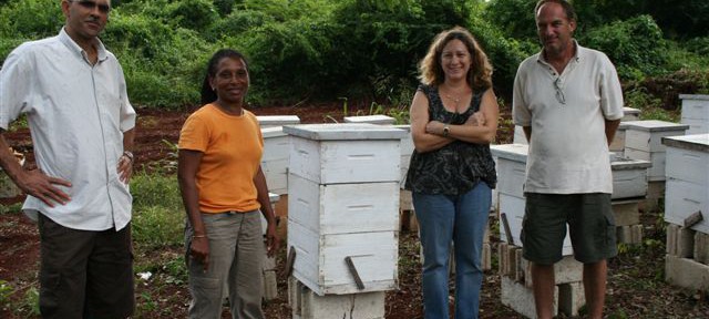 Thumnail image for Busy Bee Enterprises Success Story