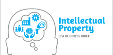Thumnail image for Intellectual Property: EPA Business Brief
