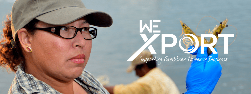 we-xport-launch-headline-image