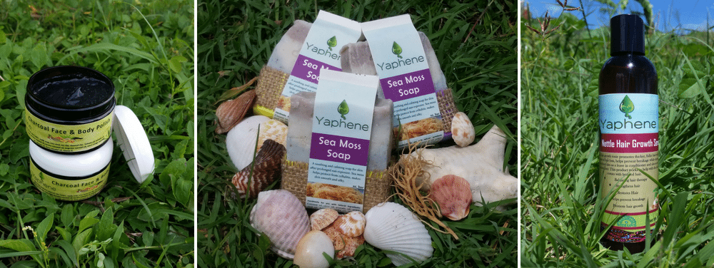 sugar-town-organics-headline-image