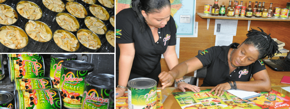 pioneer-in-the-export-market-headline-image