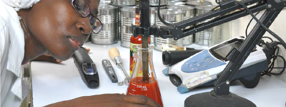 pioneer-in-the-export-market-2-headline-image