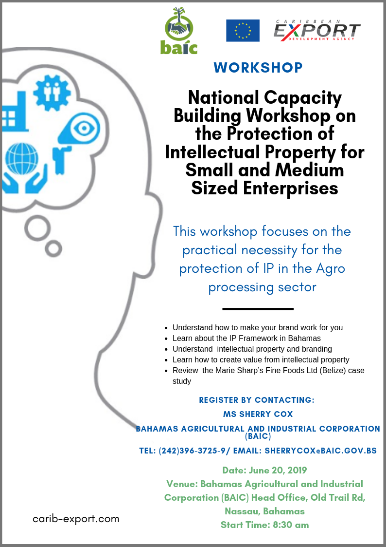 Thumnail image for National Capacity Building Workshop on the Protection of Intellectual Property for Small and Medium Sized Enterprises