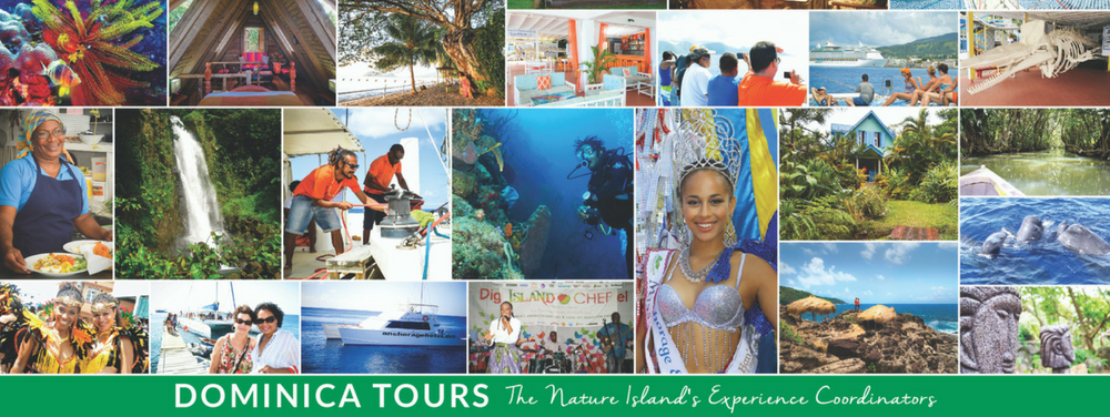 dominica-tours-how-one-entrepreneur-weathered-the-storm-and-is-building-back-bigger-and-better-than-before-headline-image