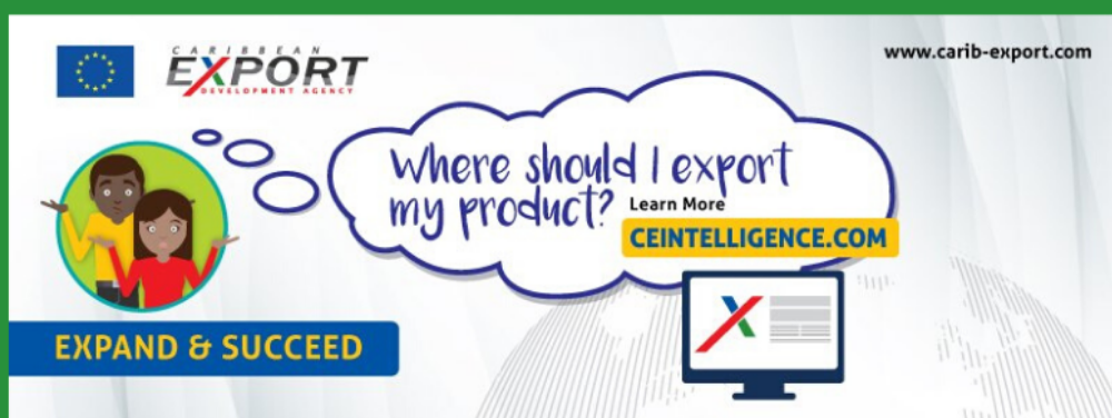 competitive-intelligence-workshop-dominican-republic-headline-image