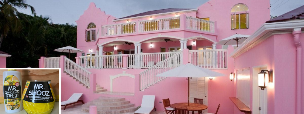 covid-19-reinforces-the-need-for-business-owners-to-diversify-headline-image