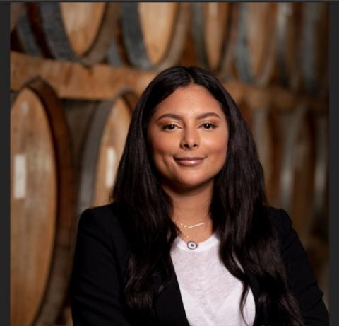 Thumnail image for Caribbean Export and WIRSPA Partner on the Absolutely Caribbean Virtual Expo