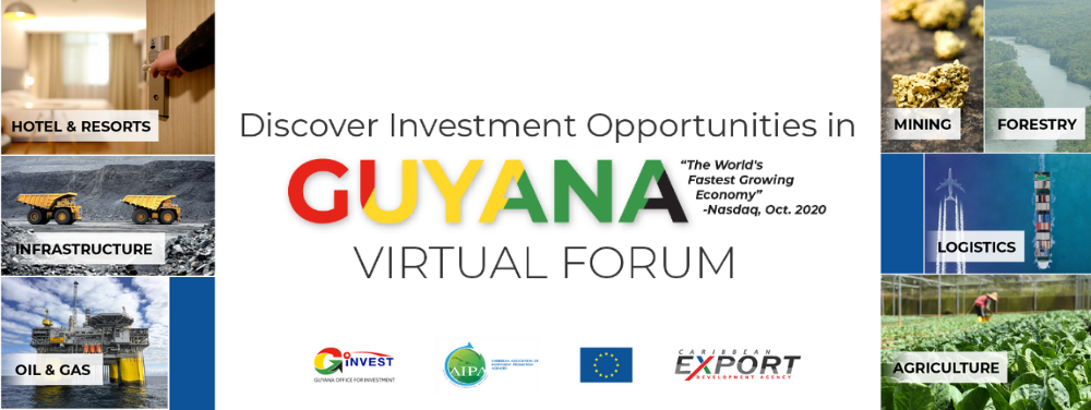 invest-in-guyana-virtual-forum-2021-headline-image