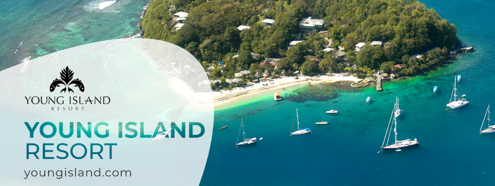 how-young-island-resort-reduced-cost-and-improved-service-delivery-a-dags-case-study-headline-image