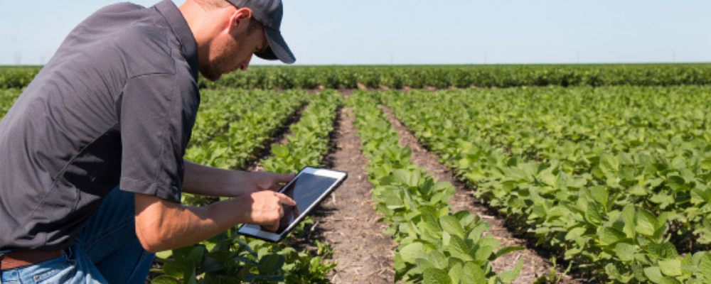 the-imperative-of-foreign-direct-investment-for-caribbean-countries-headline-image