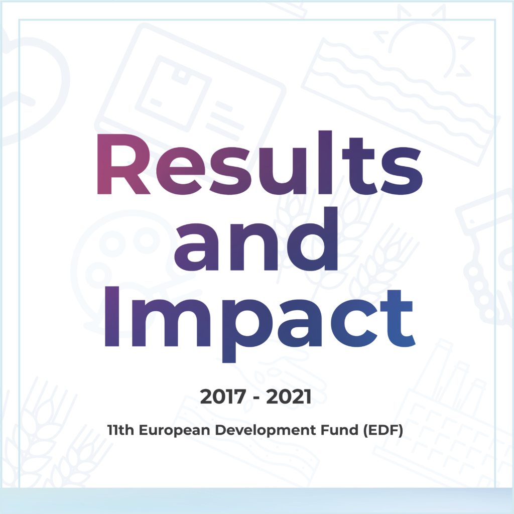 Thumnail image for Regional Private Sector Development Programme