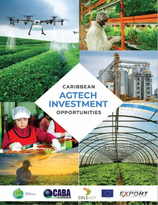 Thumnail image for Caribbean AgTech Investment Opportunities