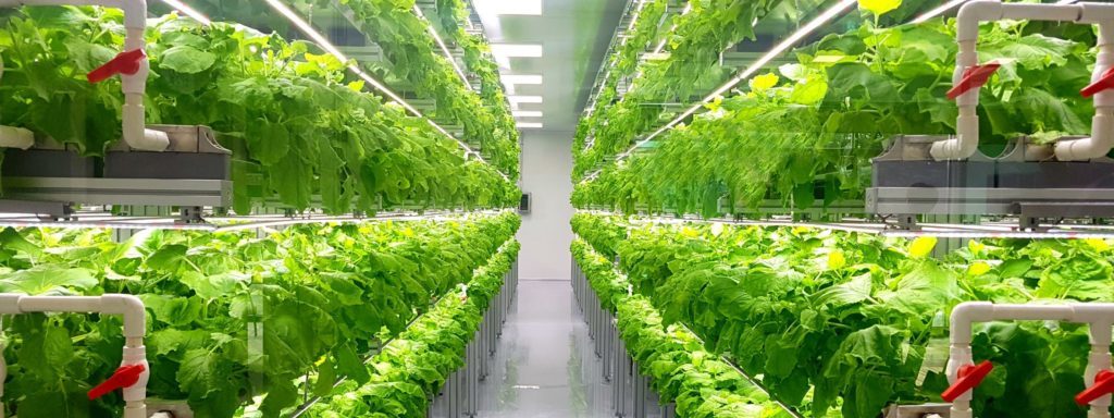 president-of-guyana-to-feature-at-the-regions-first-agricultural-technology-investment-summit-headline-image