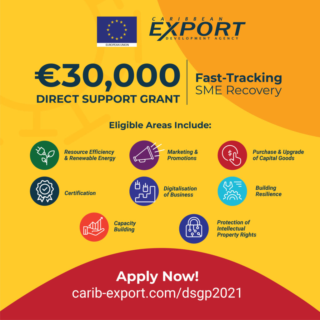 Thumnail image for Private: 2021 Call for Proposals – Direct Support Grants Programme