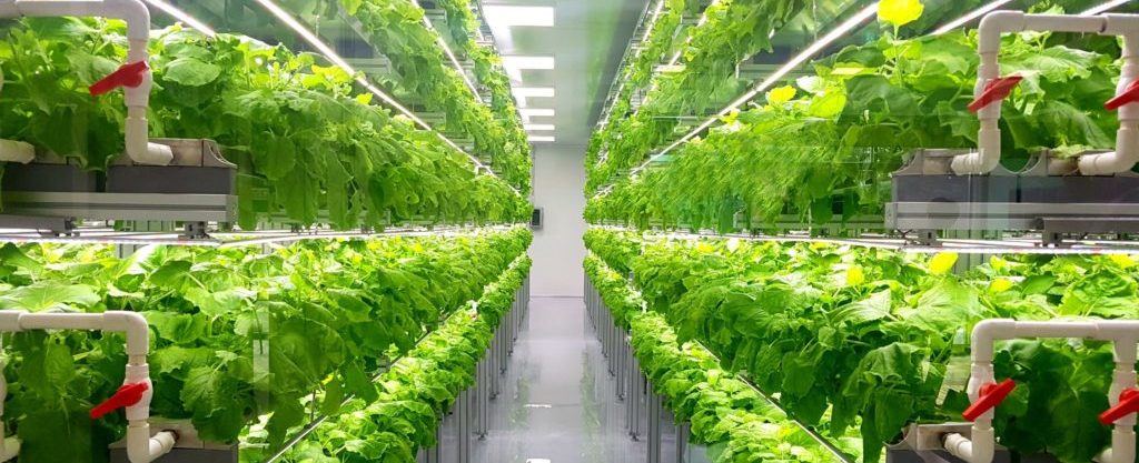 building-caribbean-food-security-via-technology-a-caribbean-export-perspective-headline-image