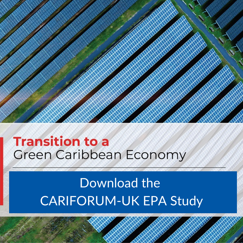 Thumnail image for CARIFORUM-UK EPA Study