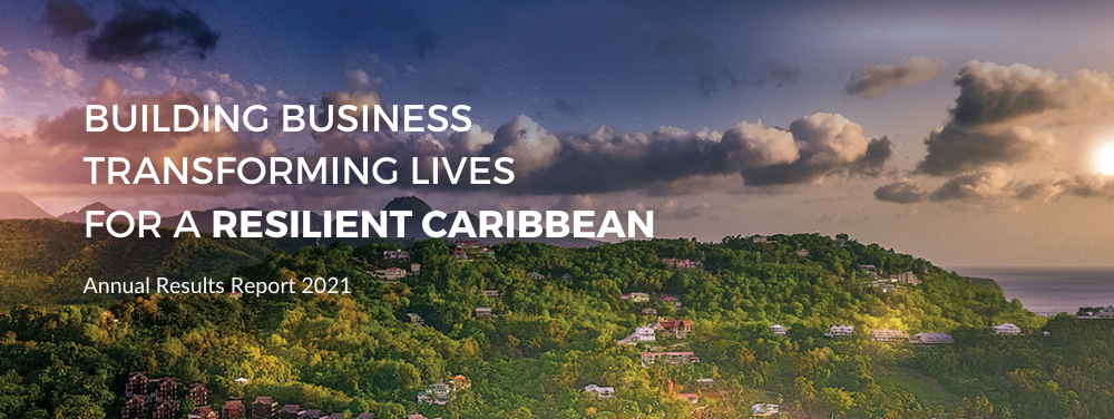 Slider: 2021 Annual Results Report