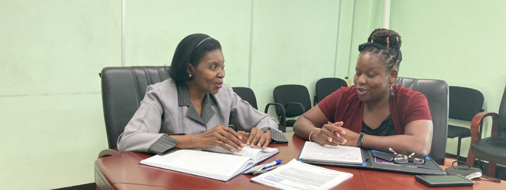 bridging-the-gap-for-micro-small-and-medium-enterprises-msmes-in-saint-lucia-headline-image